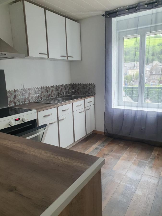 Appartamento Bienvenue Chez Les Ch'Oups Le Cocoon La Bourboule Esterno foto